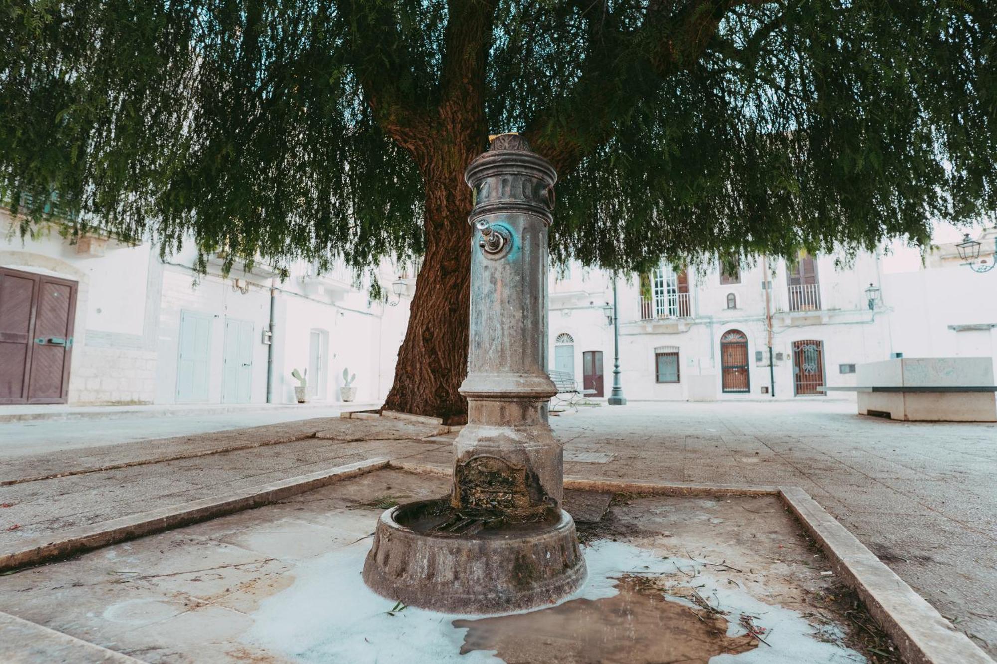 Casa Pagano Villa Noicattaro Bagian luar foto